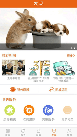 掌上阳泉